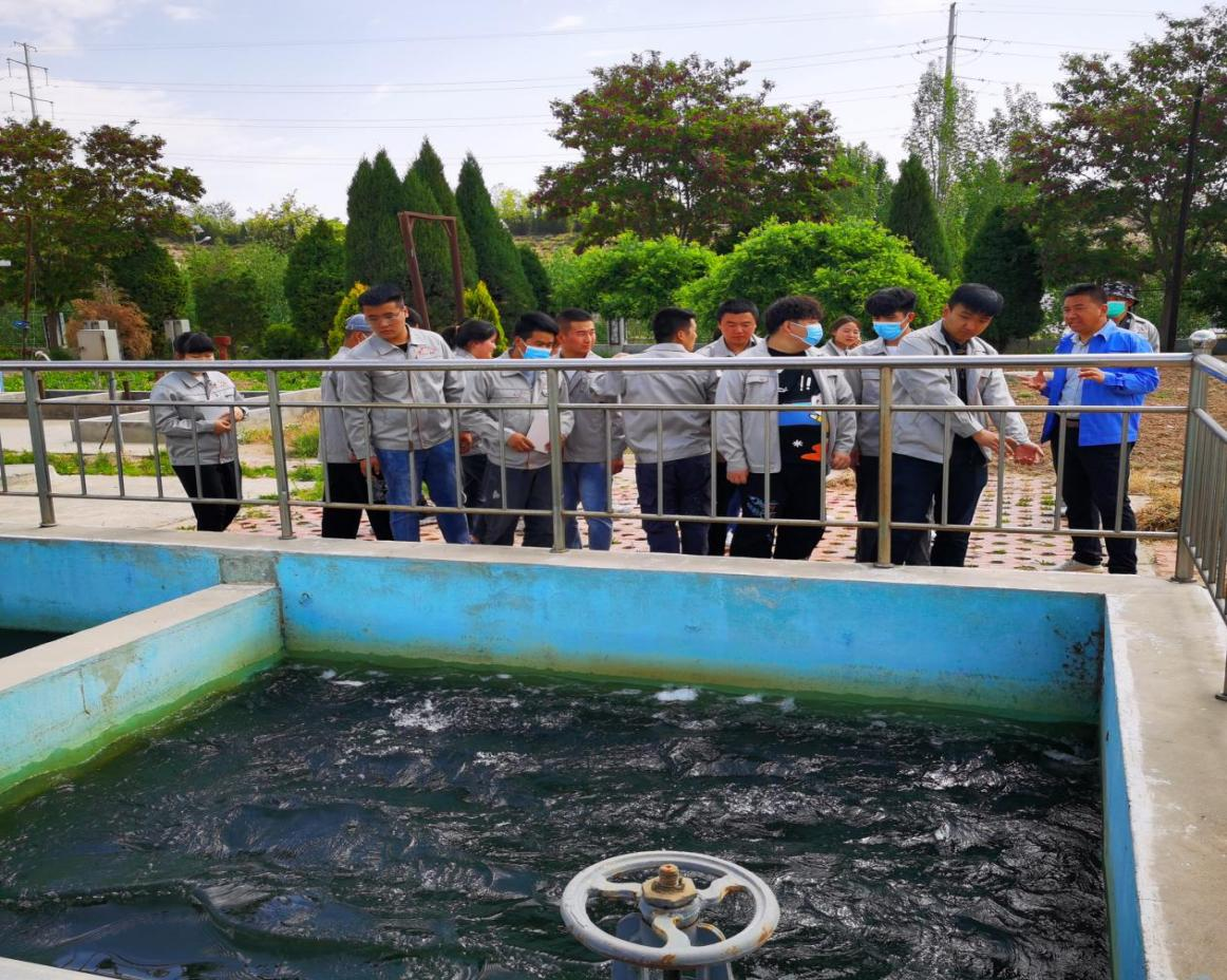 圖片3.png 圖片3.png